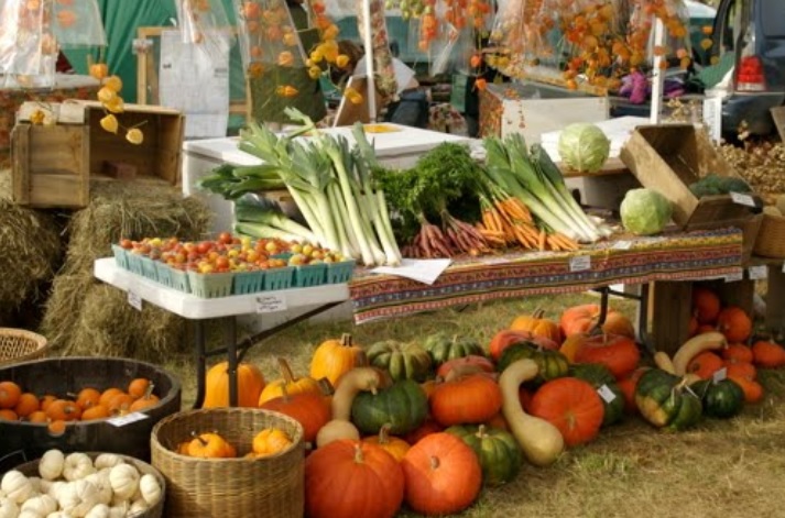 COMPRA RURAL SANTANDER LLEG&Oacute; A BARBOSA